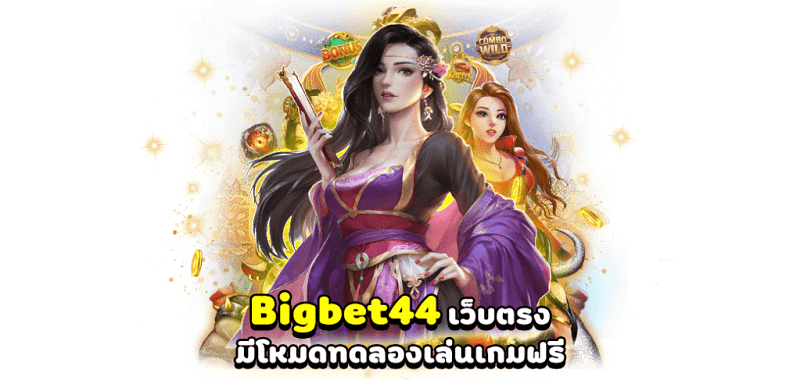 Bigbet44 - databet88